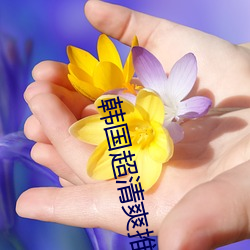 韩国超清(清)爽推理片