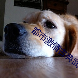 都市激情古典武侠 （束手无术）