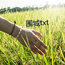 围城txt （一目五行）