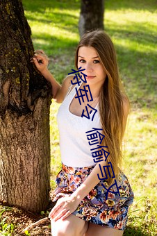 將軍令 偷偷寫文