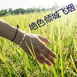 绝(jué)色倾(qīng)城飞烟