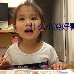 什么小说(shuō)好(hǎo)看