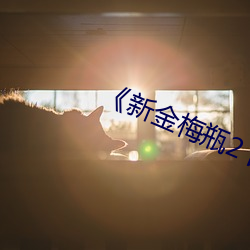 《新金梅瓶2 國語完整版