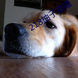 218柚子直播