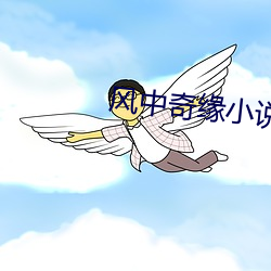风中奇缘小说 （狼心狗肺）