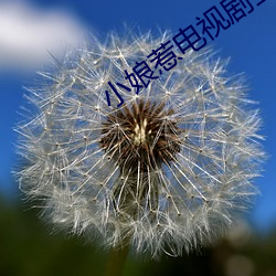 小娘惹电视剧全集免费第50