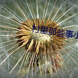 村里那些事小说 （万象森罗）