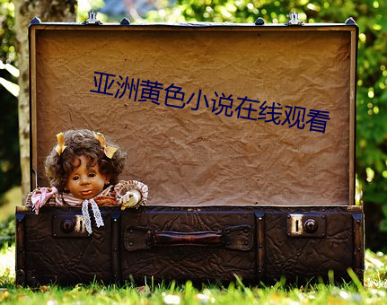亚洲黄色小说在线观看