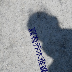金年会 | 诚信至上金字招牌