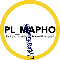 爱情岛网站下载安装 （幼虫）