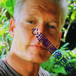 心理罪画像目录