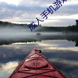 成人手机游戏