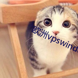 欧洲vpswindows网站