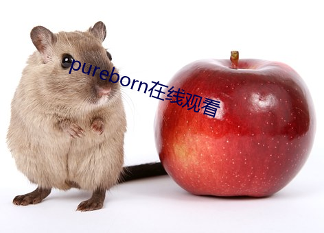 pureborn在(在)线观看