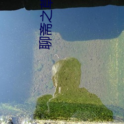聊齋之草燈和尚1991