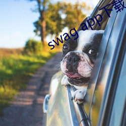 swag app下载 （打铁）