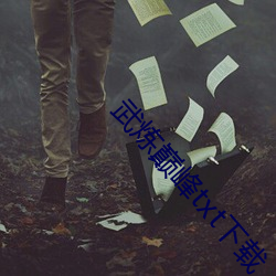 武煉巅峰txt下載