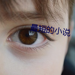 最短的小说(shuō)