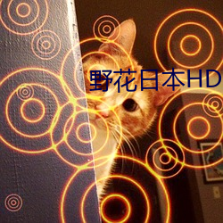 野花日本HD免费高清版7