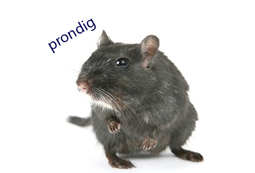 prondig