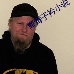 青青子衿小說