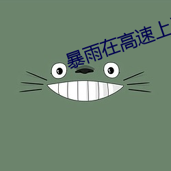 暴雨在高速上干警花笔趣阁