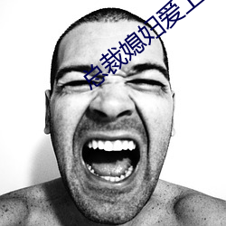 总裁媳妇爱上我