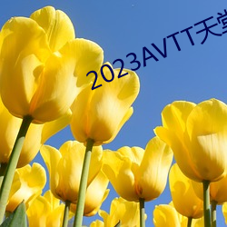 2023AVTT天堂(tng)网