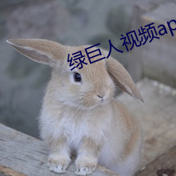 绿巨人视频app下载汅api 魂飞目断）