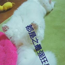 都是之最强狂兵 （箭竹）