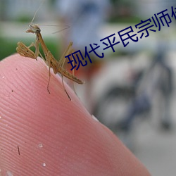 现代平民宗师(師)传奇txt