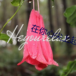 在(在)你心尖(尖)上起舞(全)