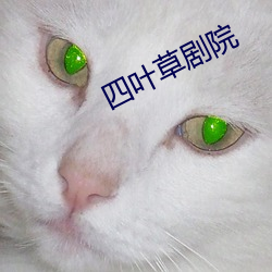 四葉草劇院