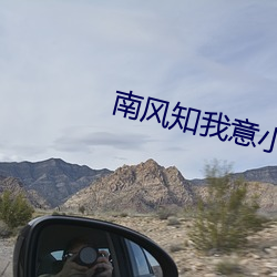 南风知我意小说