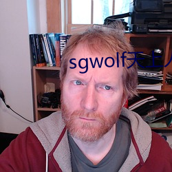 sgwolf天上人间