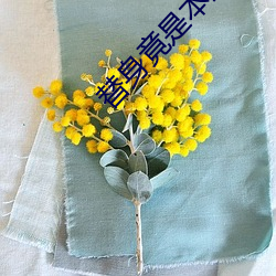 替身竟是本王自己