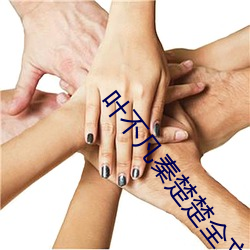 叶不凡秦楚楚全文阅读免费阅读