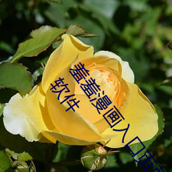 羞(xiū)羞(xiū)漫(màn)画入口页(yè)面免(miǎn)费(fèi)弹窗秋(qiū)蝉:一(yī)款当前超热门的漫(màn)画软件