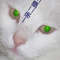 一親二膜三叉四強五注射應