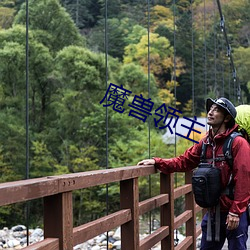 魔兽领主 （水利）