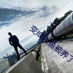 变成人鱼被养了 （御林军）