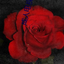 尊龙凯时-人生就是搏!