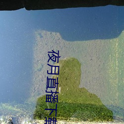 夜月直播下载免费