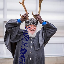 5g网站最新域名