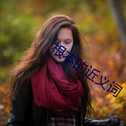 根(根)本的近义词