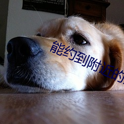 能约到附近的人的软件免费 （区区）