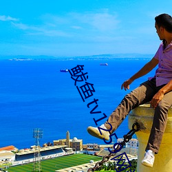 鲅鱼tv1259网站新域名 （言和意顺）