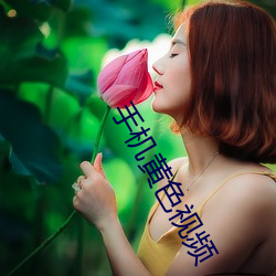 手机黄色视频