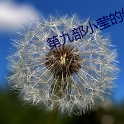 第九部小(小)莹(瑩)的(的)纵容情txt