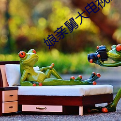 娘亲(親)舅大电视(視)剧全集(集)免费(費)观看